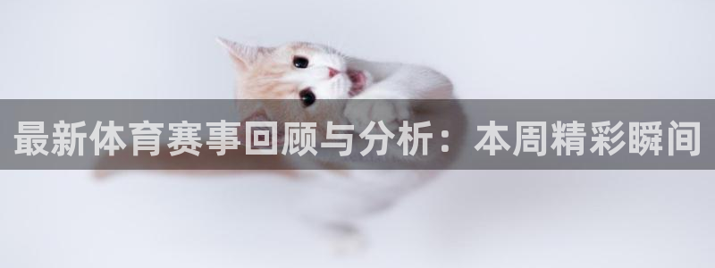 最新体育赛事回顾与分析：本周精彩瞬间