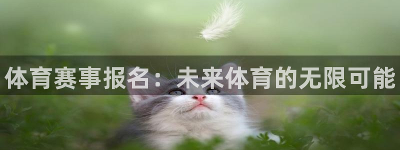 体育赛事报名：未来体育的无限可能