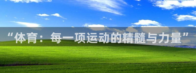 “体育：每一项运动的精髓与力量”