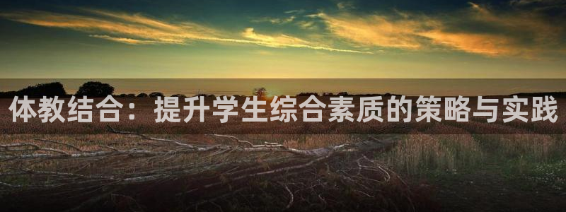 体教结合：提升学生综合素质的策略与实践