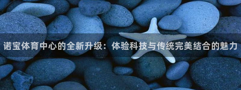 诺宝体育中心的全新升级：体验科技与传统完美结合的魅力