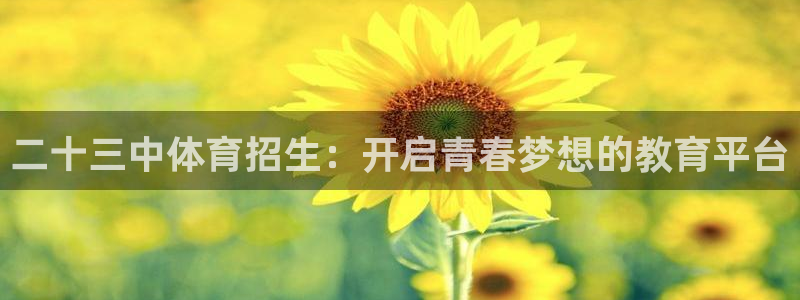 二十三中体育招生：开启青春梦想的教育平台