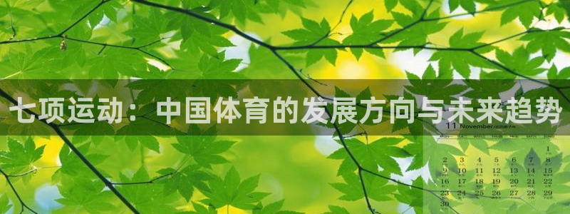 七项运动：中国体育的发展方向与未来趋势