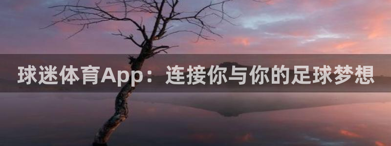 球皇看球在线：球迷体育App：连接你与你的足球梦想