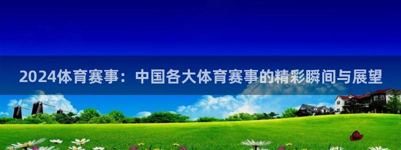 球皇看球nba：2024体育赛事：中国各大体育赛事的精彩瞬间与展望