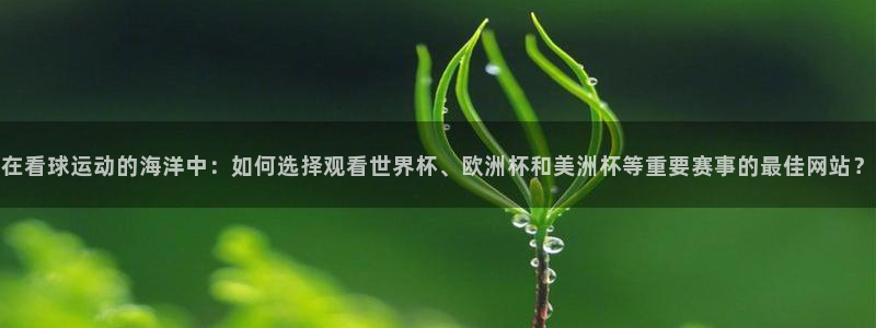 球皇看球要会员吗