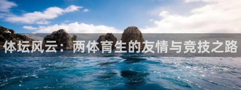 球皇看球最新版怎么下载：体坛风云：两体育生的友情与竞技之路