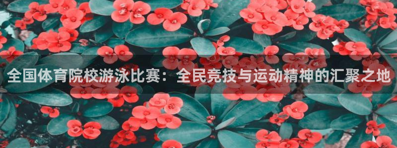 球皇体育：全国体育院校游泳比赛：全民竞技与运动精神的汇聚之地