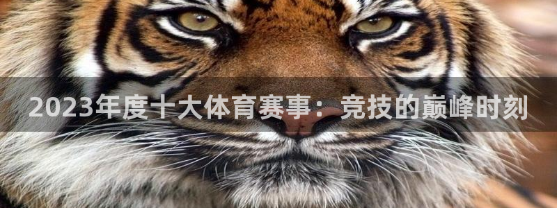 球皇直播：2023年度十大体育赛事：竞技的巅峰时刻