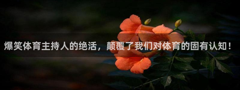 球皇看球赛：爆笑体育主持人的绝活，颠覆了我们对体育的固有认知！