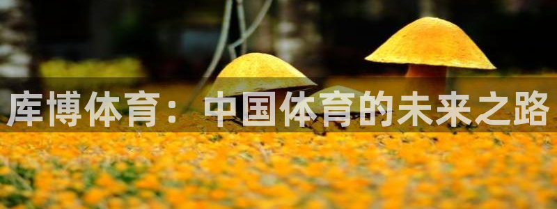 球皇体育直播：库博体育：中国体育的未来之路