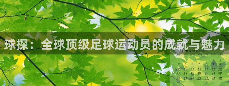 球皇看球nba：球探：全球顶级足球运动员的成就与魅力