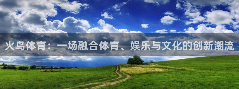 球皇体育直播：火鸟体育：一场融合体育、娱乐与文化的创新潮流