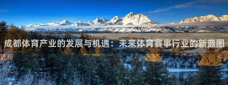 球皇看球直播软件：成都体育产业的发展与机遇：未来体育赛事行业的新蓝图