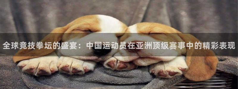 球皇看球app为什么不能投屏：全球竞技拳坛的盛宴：中国运动员在亚洲顶级赛事中的精彩表现