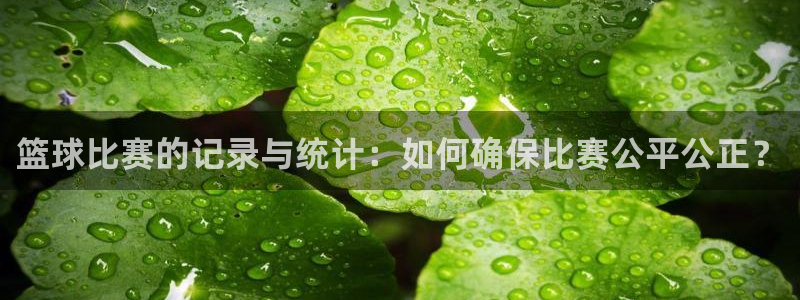 球皇体育直播：篮球比赛的记录与统计：如何确保比赛公平公正？