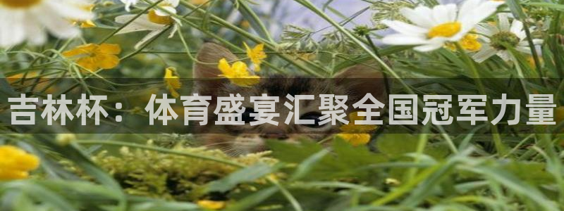 球皇看球最新版怎么下载：吉林杯：体育盛宴汇聚全国冠军力量