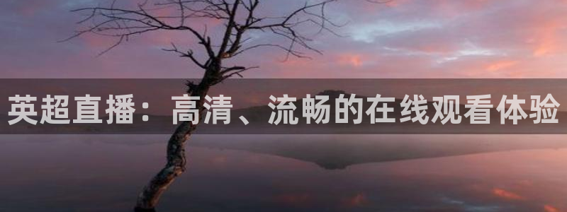 球皇直播在线观看：英超直播：高清、流畅的在线观看体验