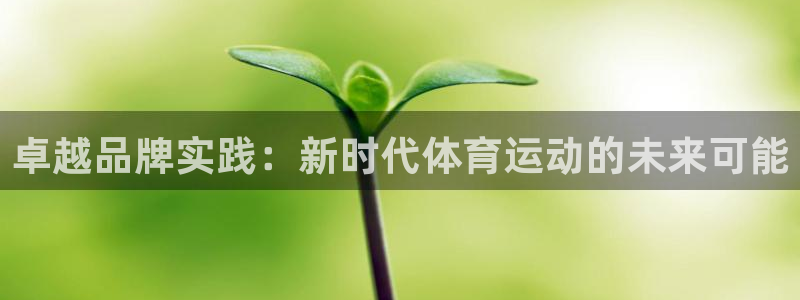 球皇体育直播